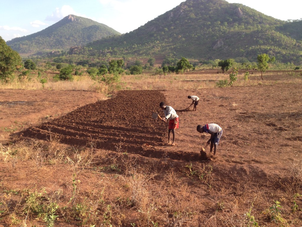 Ben Tiggelaar spreker op ondernemersavond Gracefarmers